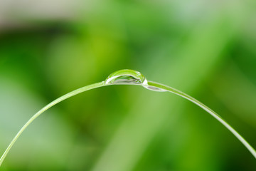 A drop of dew on a blade of grass