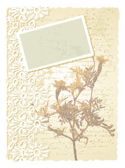 romantic card with tagetes