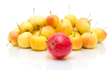apples on a white background with reflection