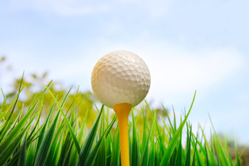 golf ball and green grass field