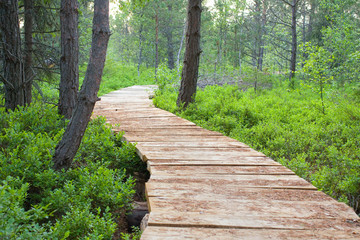 Wooden foot bridge