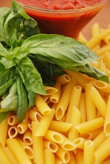 pasta maccaroni tomato and basil leaf