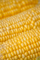 Corn