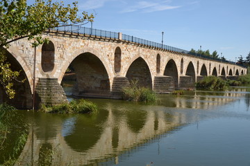 Fototapeta na wymiar Puente de Piedra de Zamora