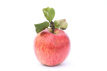 Red apple