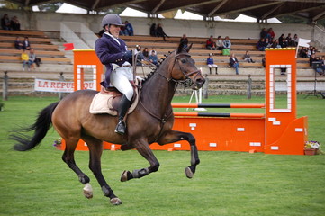 Competition saut obstacle jumping