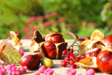 kastanien auf dem gartentisch