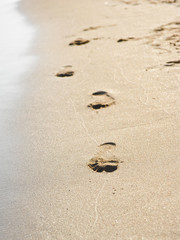 Foot prints at sand in summer sunrise on tropical beach