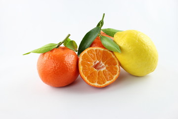 citrus fruits