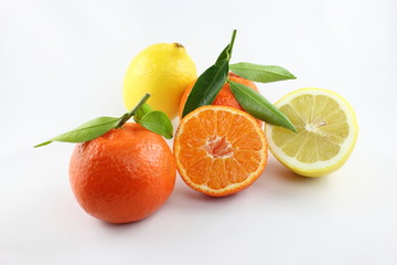citrus fruits