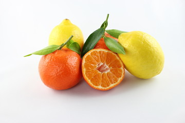 citrus fruits