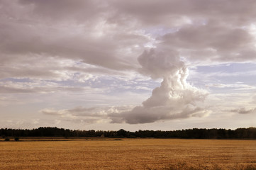 Fototapeta premium Dramatic sky over field