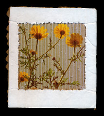 wild flowers cardboard frame