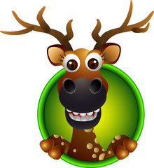 cute deer head cartoon