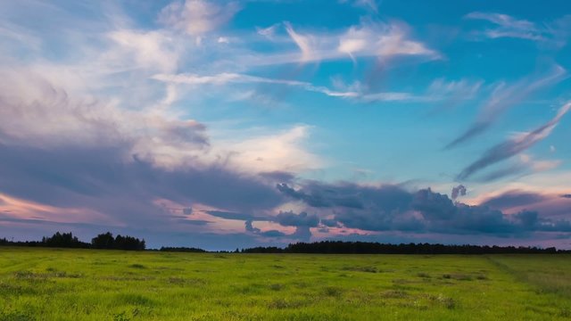 Wiese, Timelapse, Zeitraffer