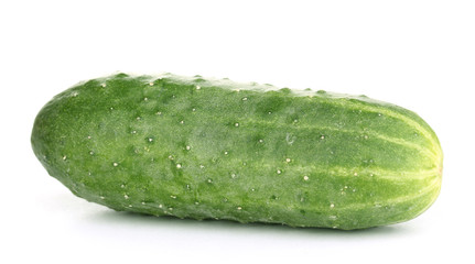 Cucumber isolated on white