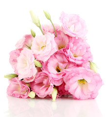 bouquet of eustoma flowers, isolated on white