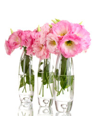 bouquet of eustoma flowers in vases, isolated on white