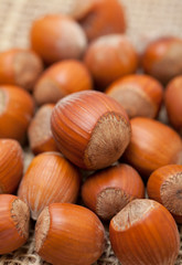 hazelnuts on wooden table