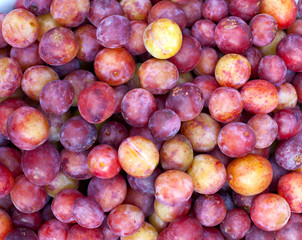fresh plums