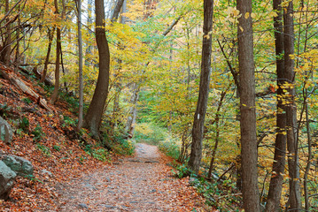 hiking trail