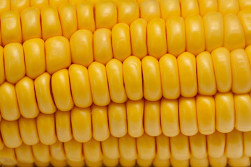 corn comb close up