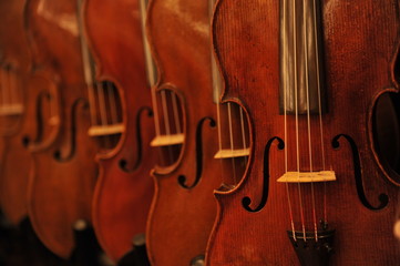 Violin
