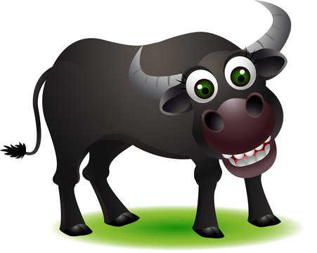 cute bull  cartoon