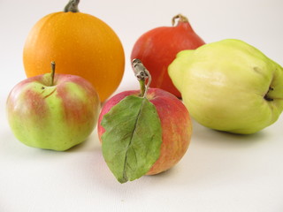 Quitte, Apfel und Kürbis