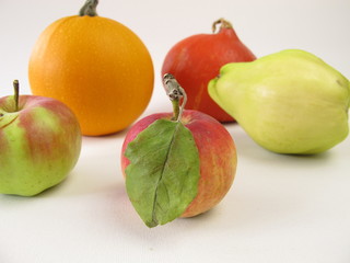 Quitte, Apfel und Kürbis