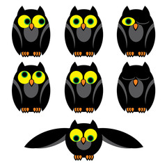 owls set