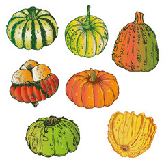 Herbst Dekoration, Zierkürbisse, Kürbisse, Halloween