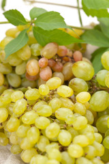 fresh grapes