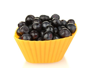 Fresh blueberries in colorful silicone mold isolated on white