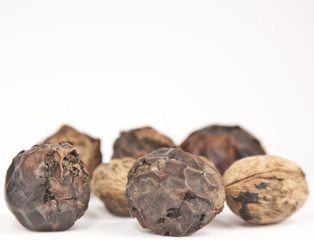 walnuts