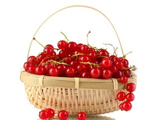 redcurrants in a basket isolated on white