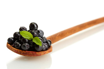 blueberries with mint in wooden spoon isolated on white