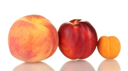 Ripe nectarines, apricots and peaches isolated on white