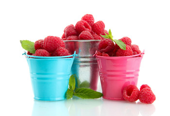 beautiful raspberries in buckets isolated on white