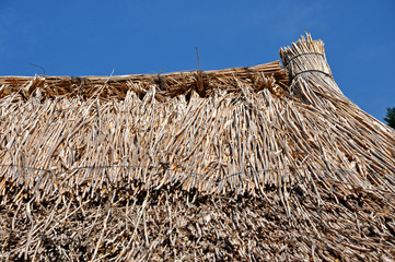 Thatched roof detail