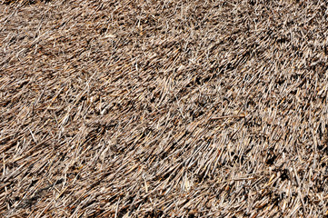 Background with thatched roof detail