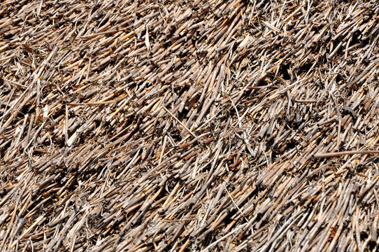 Background With Thatched Roof Detail