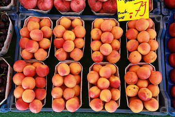 Aprikosen auf dem Markt