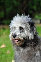 Überall gibt es was zu sehen....