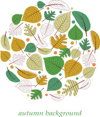 Autumnal  leaves background