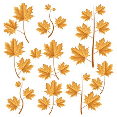 Obraz na płótnie Canvas autumn leafs set