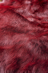 赤色の毛皮