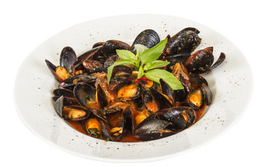 close up on mussels on white background