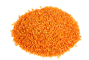 red lentils isolated on white