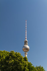 Fototapeta premium television tower in berlin mitte